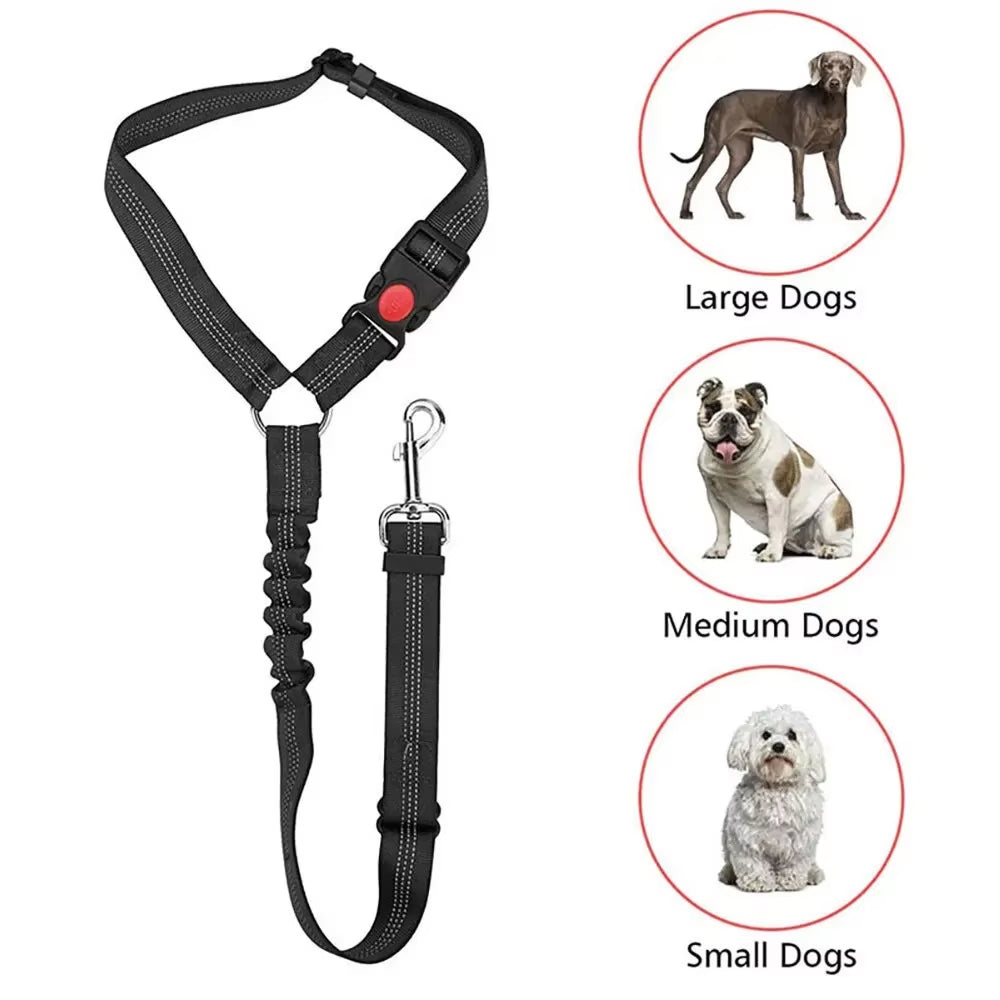 PawiStrap