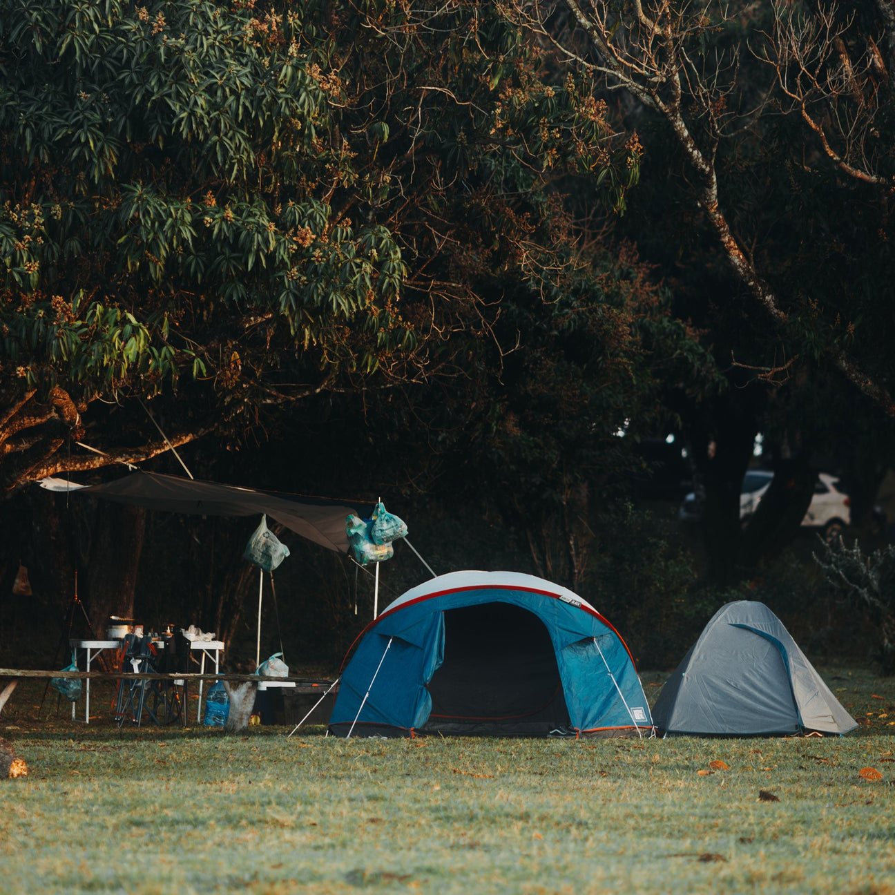 Camping & Hiking