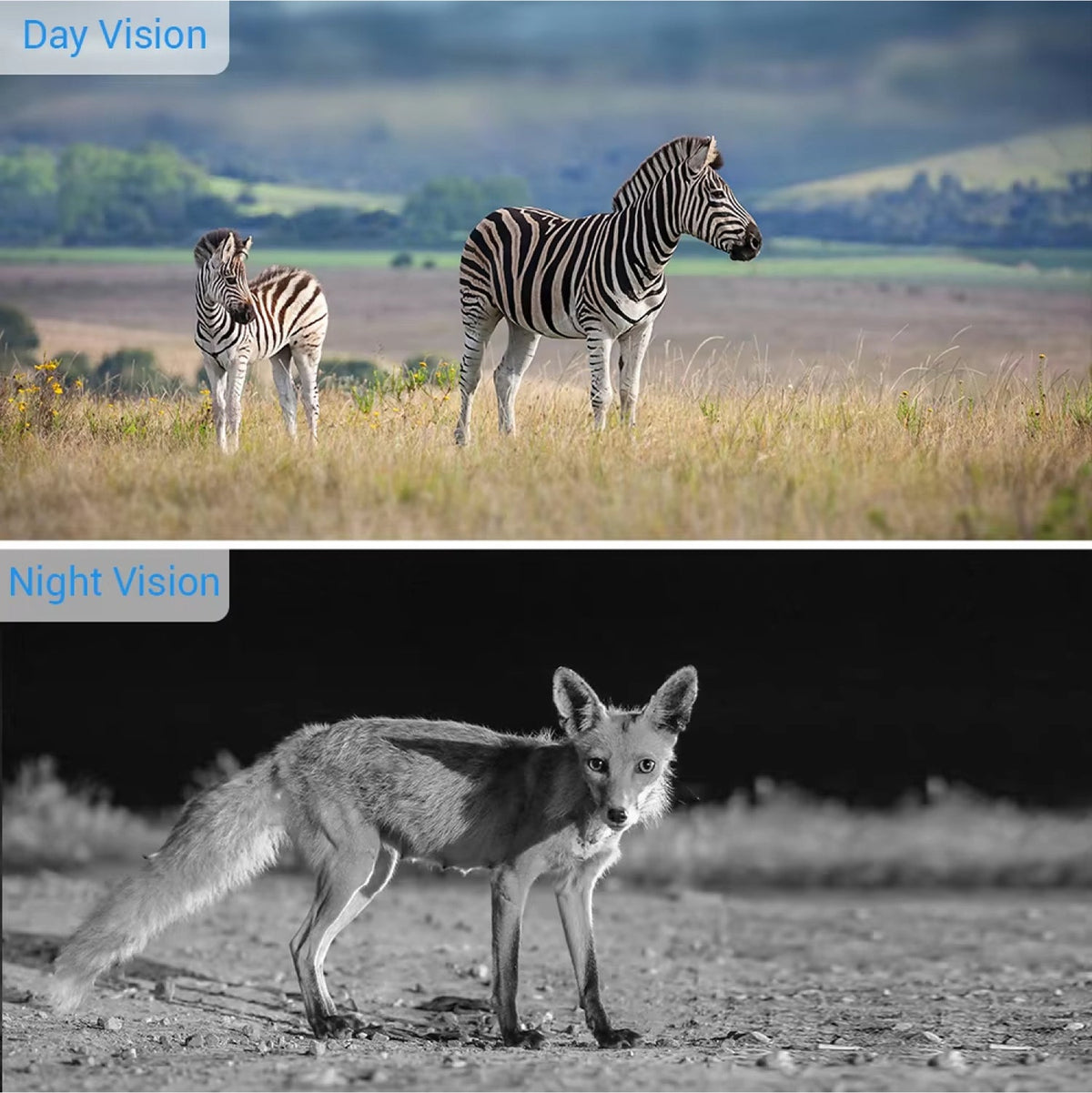 FaunPeak Professional Wildlife Monitoring Camera with WiFi