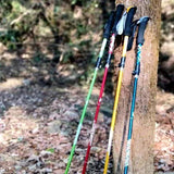 NordVaxi Folding Nordic Walking Poles for Hiking & Trekking